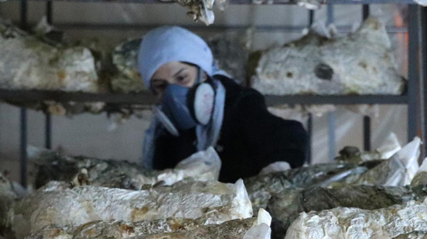 Foto - 'Eşimin eline bakmak istemiyorum' deyip patron oldu