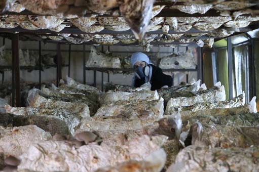 Foto - 'Eşimin eline bakmak istemiyorum' deyip patron oldu