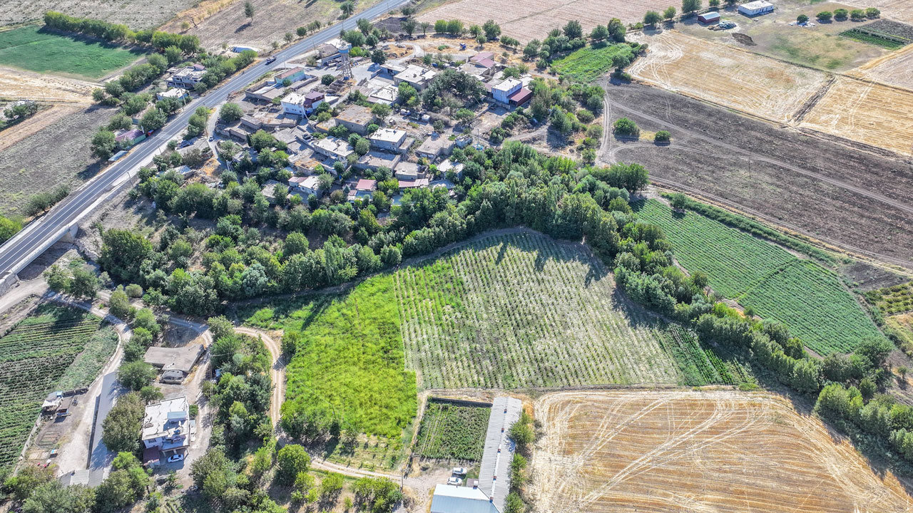 Eşine bulamamıştı, onun anısına yetiştiriyor! Emekli emniyet müdürü aronyayı Diyarbakır’a getirdi