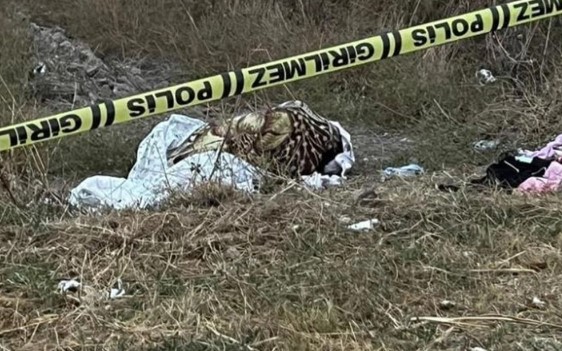 Foto - Eşine fare zehri verdi! Yaşadığını görünce...
