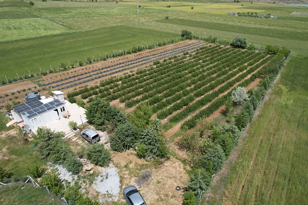 Foto - Eşinin sağlığı için ekti! Kendi işinin sahibi oldu
