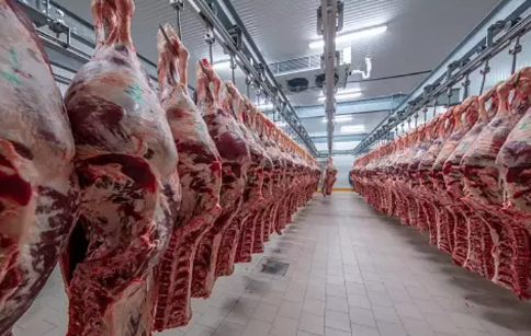 Foto - ESK harekete geçti! Uzmanlardan heyecanlandıran sözler: Et fiyatlarını frenleyecek hamle