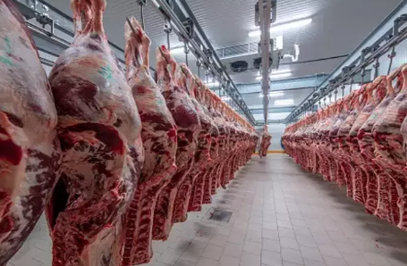 Foto - ESK harekete geçti! Uzmanlardan heyecanlandıran sözler: Et fiyatlarını frenleyecek hamle