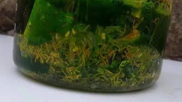 Foto - Eski bilgisayarlarınızı sakın atmayın! İçinde altın kaynıyor