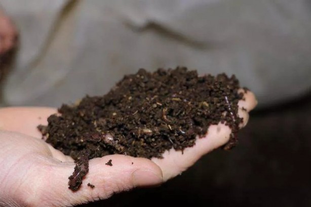 Foto - Eski hükümlü 18 bin lira hibe alarak kurdu! Şimdi senelik 200 bin TL kazanıyor