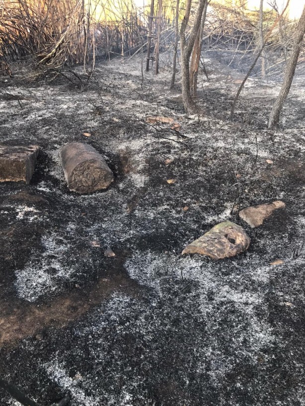 Eski mezarlıkta çıkan yangın korkuttu