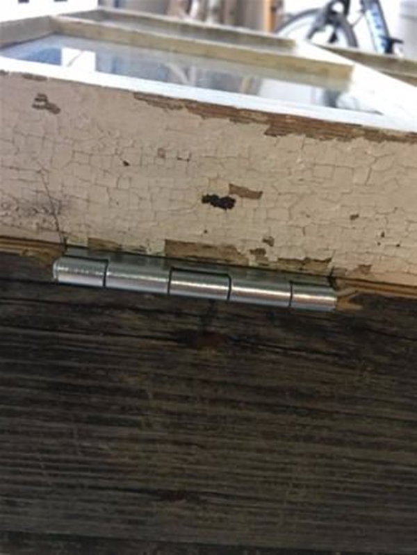 Foto - Eski pencereyi atmayıp bakın ne yaptı!