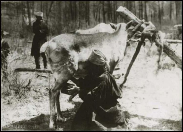Foto - Eski Türk isimleri nelerdi? İşte en az bilinen anlamları...