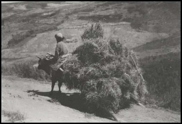 Foto - Eski Türk isimleri nelerdi? İşte en az bilinen anlamları...