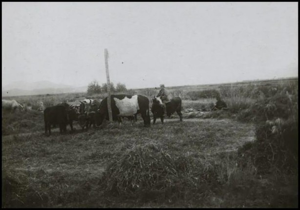 Foto - Eski Türk isimleri nelerdi? İşte en az bilinen anlamları...
