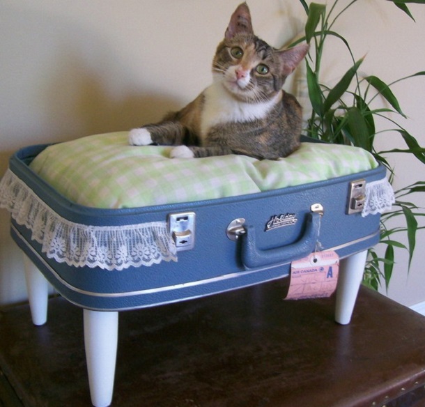 Foto - Eski valizler nasıl değerlendirilir? 