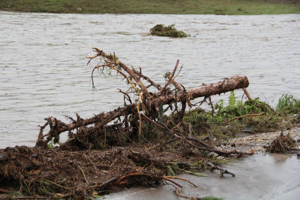 Foto - Eskişehir'de sel felaketi! Evler yıkıldı hayvanlar telef oldu