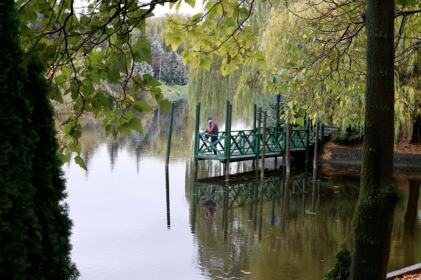 Foto - Eskişehir’de sonbahar güzelliği