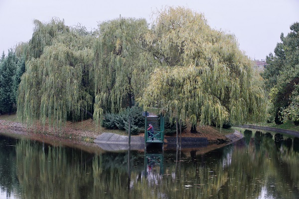 Foto - Eskişehir’de sonbahar güzelliği