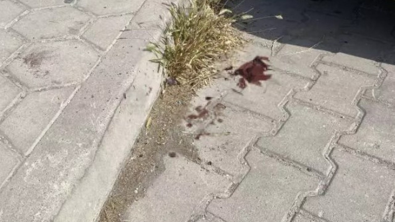 Foto - Eskişehirde vahşet: Yaşlı adamı kereste ile döverek öldürdü!