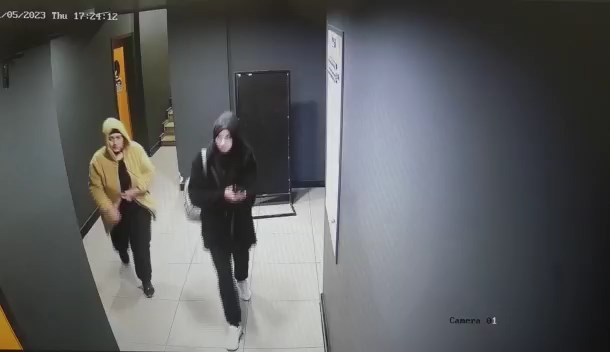 Foto - Eskişehir'den Bursa'ya gelerek 900 bin TL'lik hırsızlık yaptılar