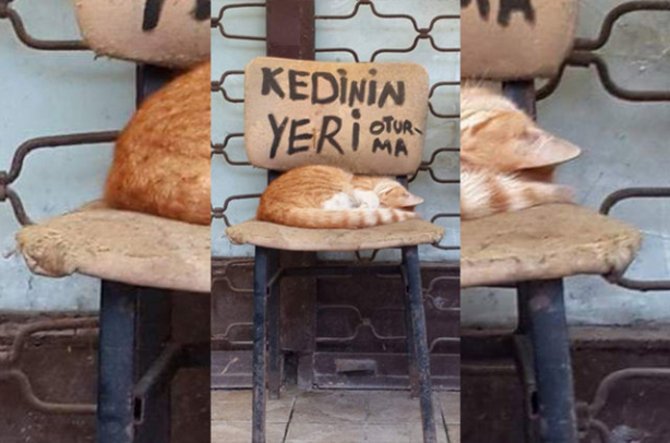 Foto - Esnaf eli değmiş güldüren yazılar