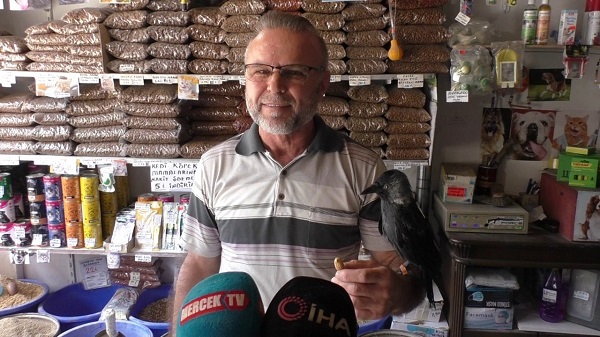 Foto - Esnaf ile karganın ilginç dostluğu