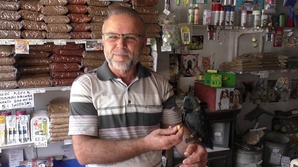 Esnaf ile karganın ilginç dostluğu