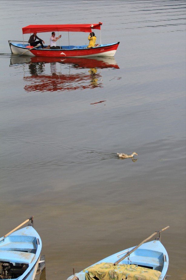Foto - Eşsiz bir güzellik: Gölyazı