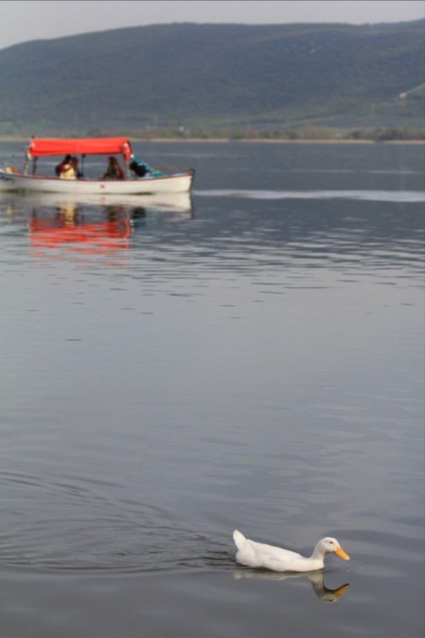 Foto - Eşsiz bir güzellik: Gölyazı