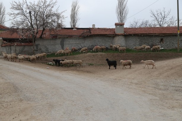 Foto - Eşsiz bir şehir: Sivrihisar