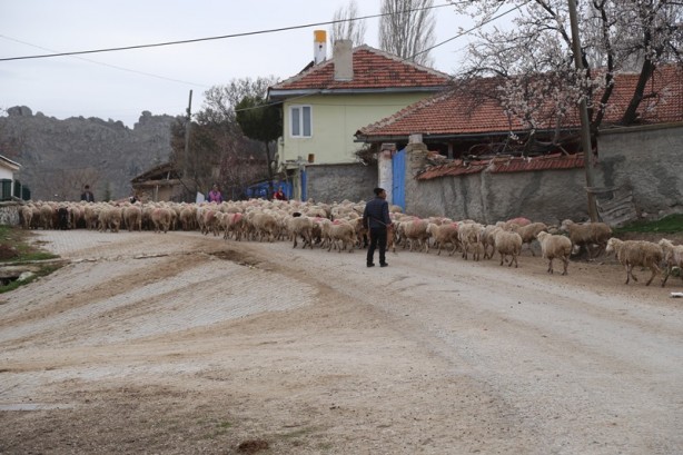 Foto - Eşsiz bir şehir: Sivrihisar