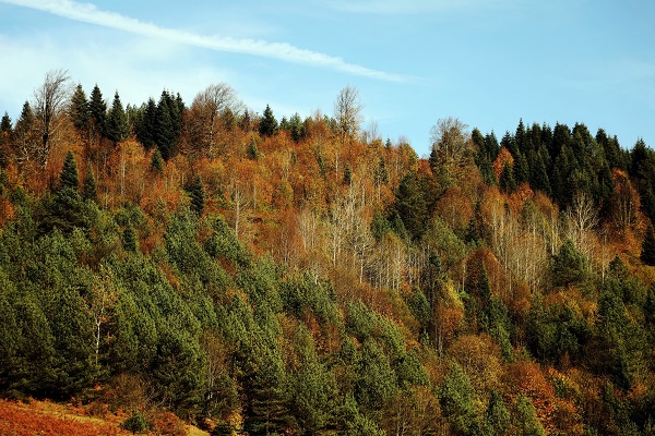 Foto - Eşsiz manzarasıyla dikkat çekiyor! İstanbul'a yalnızca 3 saat uzaklıkta