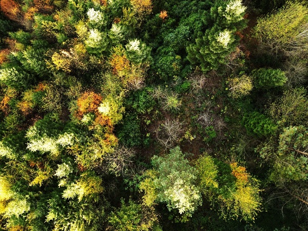 Foto - Eşsiz manzarasıyla dikkat çekiyor! İstanbul'a yalnızca 3 saat uzaklıkta
