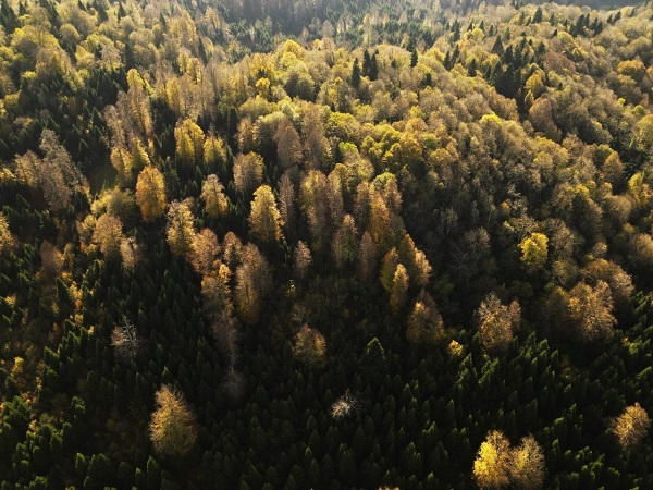 Foto - Eşsiz manzarasıyla dikkat çekiyor! İstanbul'a yalnızca 3 saat uzaklıkta