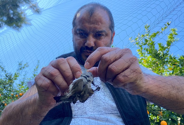 Estonya'dan geliyordu! Türkiye'de ilk kez görüldü