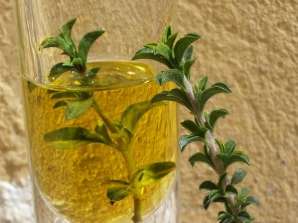 Foto - Et benlerinden kurtulmak çok kolay!