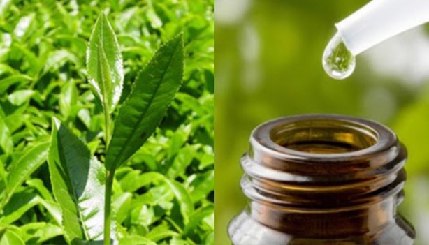 Foto - Et benlerinden kurtulmak çok kolay!