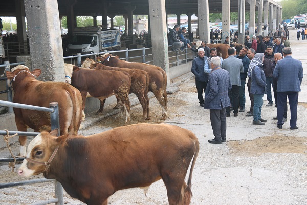 Foto - Et fiyatları düşüşe geçecek mi?