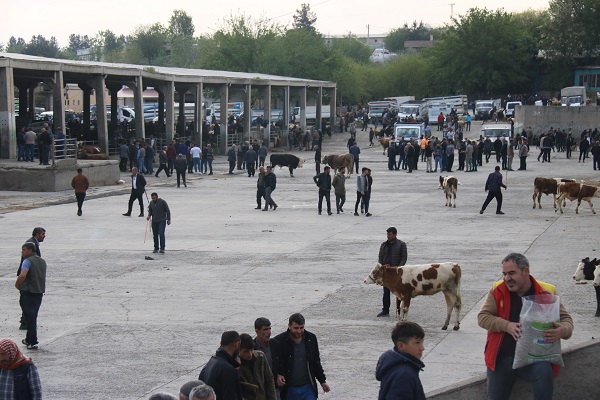 Foto - Et fiyatları düşüşe geçecek mi?
