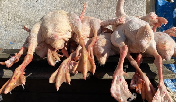 Foto - Eti ayrı tüyü ayrı satılıyor! Kapış kapış gidiyor tanesi 1200 TL