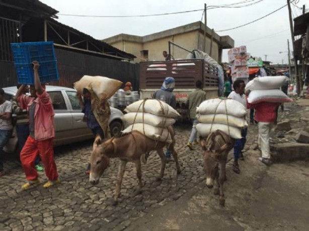 Foto - Etiyopya'dan sıra dışı kareler