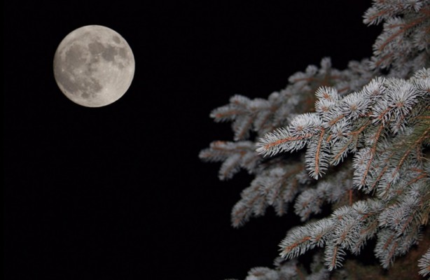 Foto - Süper Ay dünyadan böyle görüntülendi