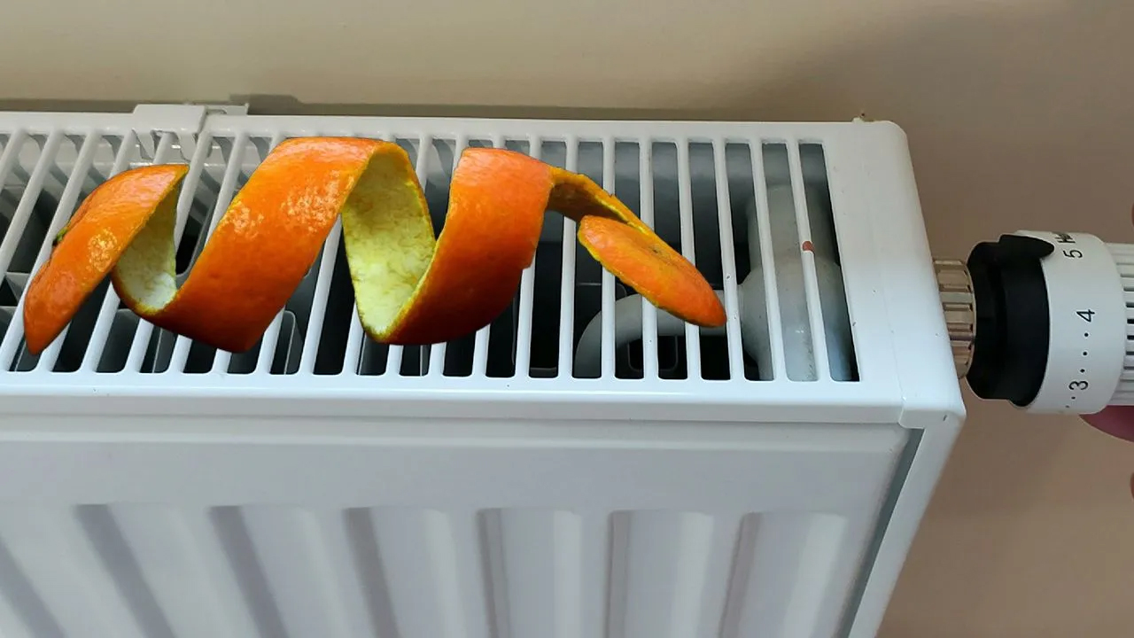 Etkisine çok şaşıracaksınız! Peteğin üstüne portakal kabuğu koyunca bakın ne oluyor