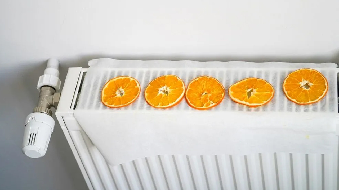 Foto - Etkisine çok şaşıracaksınız! Peteğin üstüne portakal kabuğu koyunca bakın ne oluyor