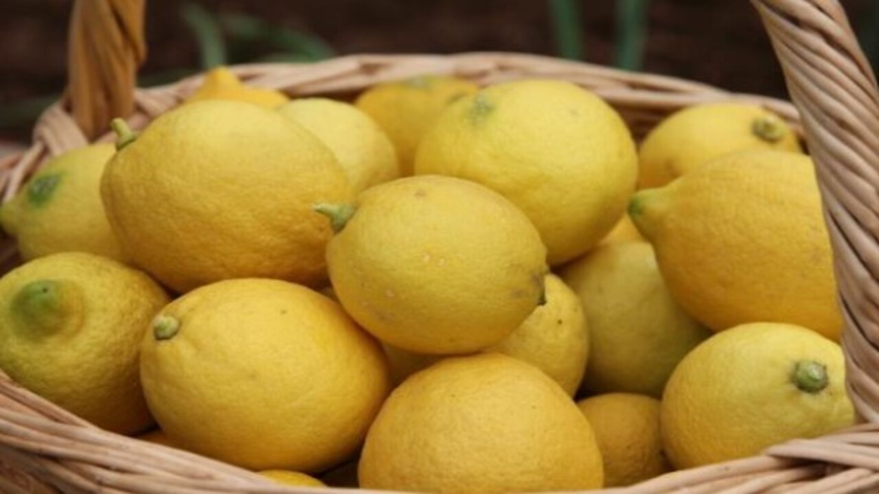 Foto - Etkisine inanamayacaksınız! Limon hangi hastalıklara şifa oluyor?