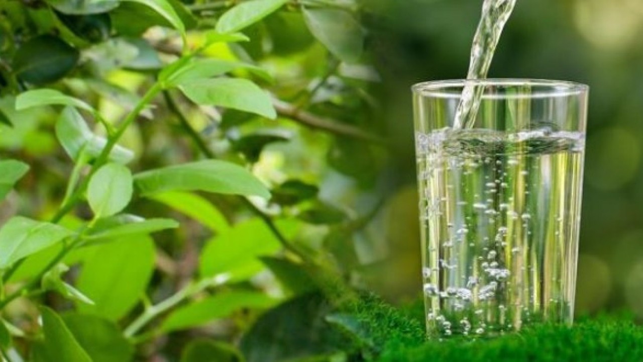 Etkisini duyunca şaşıracaksınız! Maden suyunu limonla beraber içince ne oluyor?