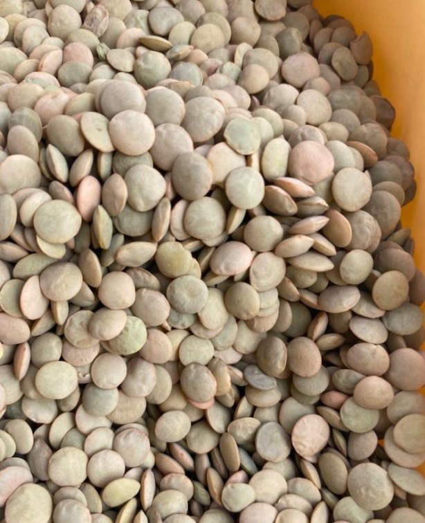 Foto - Etten 25 kat daha faydalı süper besin! Her evde bulunuyor