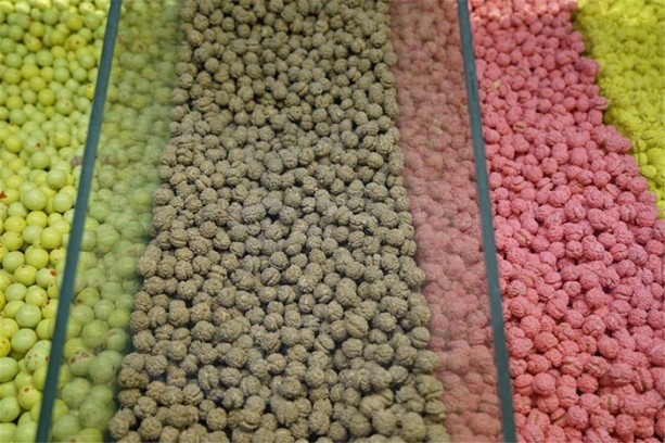 Foto - EURO 2016, Kütahya'ya yaradı!