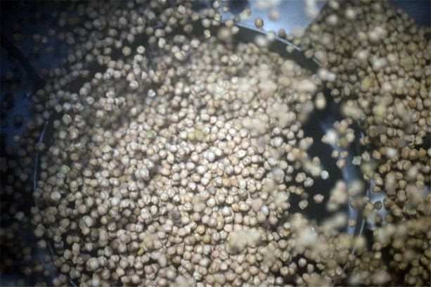 Foto - EURO 2016, Kütahya'ya yaradı!