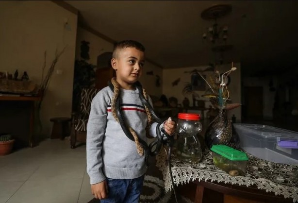 Foto - Ev değil hayvanat bahçesi! Her türden canlı var