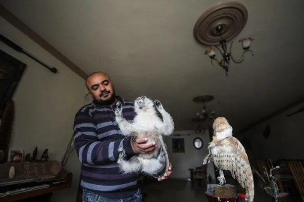 Foto - Ev değil hayvanat bahçesi! Her türden canlı var