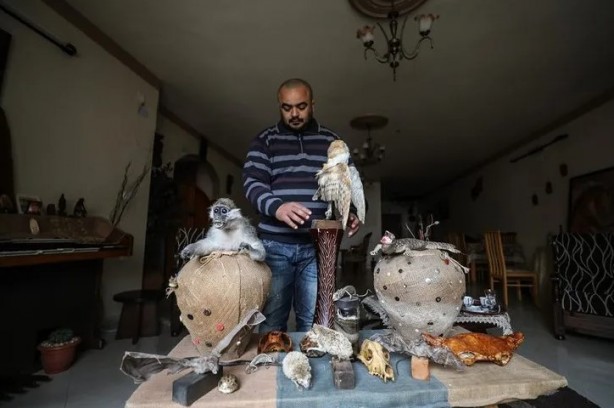 Foto - Ev değil hayvanat bahçesi! Her türden canlı var