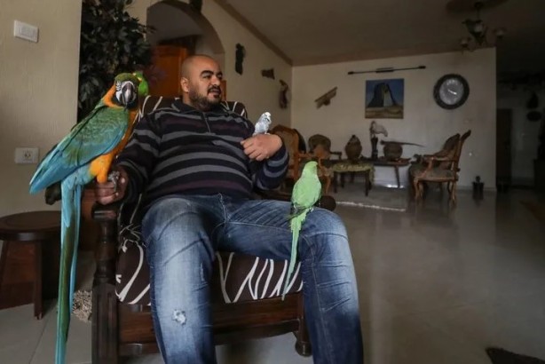 Foto - Ev değil hayvanat bahçesi! Her türden canlı var