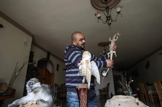 Foto - Ev değil hayvanat bahçesi! Her türden canlı var